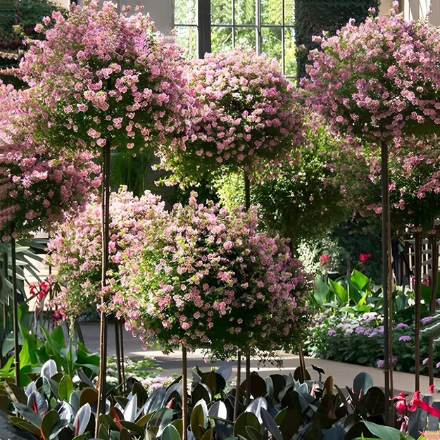 Aia pergola terrassile, metallist tugi ronitaimedele, roosidele, lilledele, 50 x 10 cm, valge