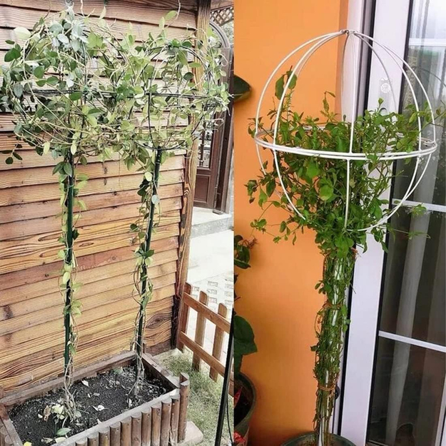 Aia pergola terrassile, metallist tugi ronitaimedele, roosidele, lilledele, 50 x 10 cm, valge