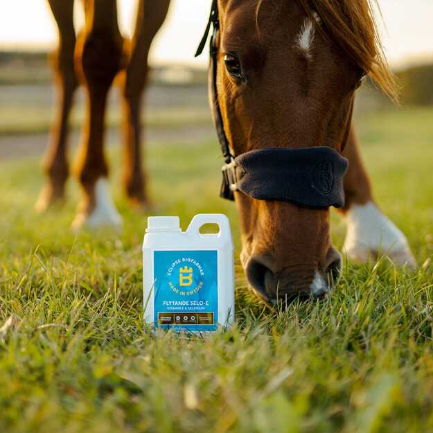 Biofarmab - Liquid Selo-E - 1L