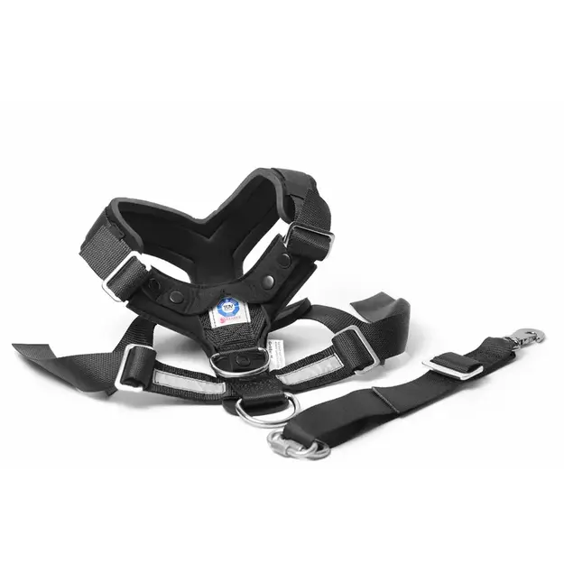 Mim - Allsafe Medium 15-30kg Car harness -  crash-tested