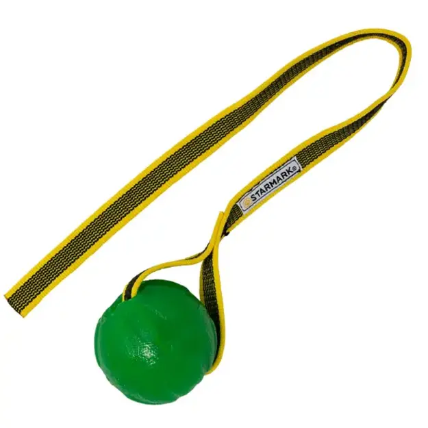 Starmark - GripCord Chew Ball - M/L