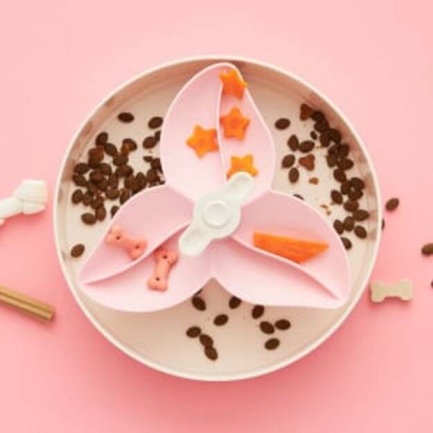 SPIN - Starter kit - Interactive Feeder Bougainvillea - Baby pink