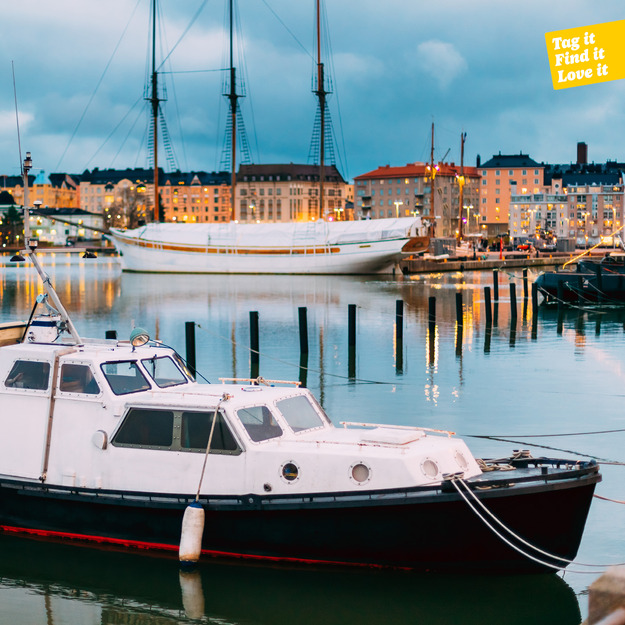 Aqiila - Tagbird - Item Finder + Mount (1-pack)