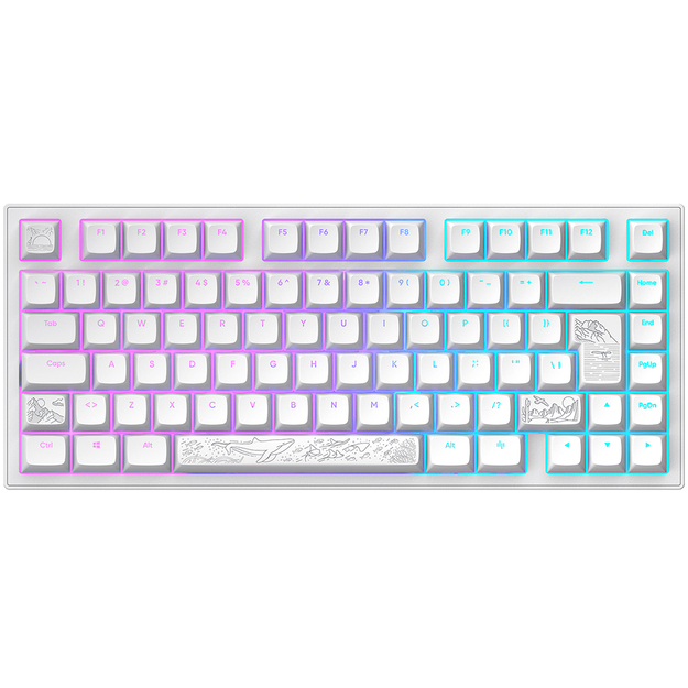 Dark Project - Nostra White 81 RGB