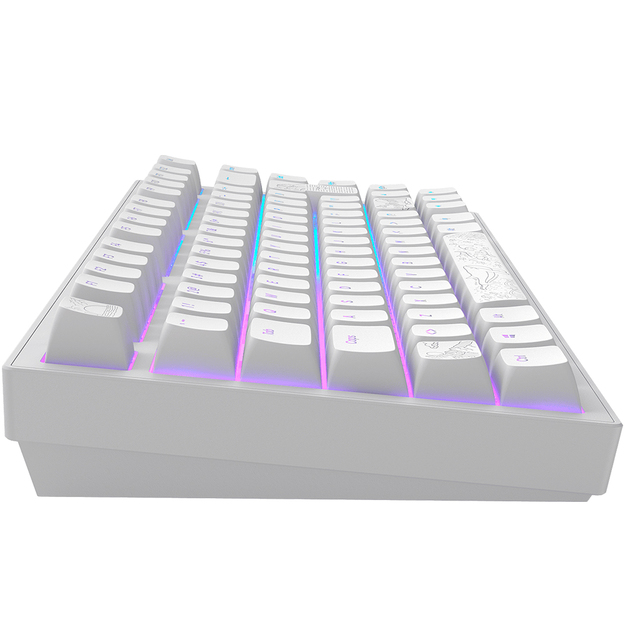 Dark Project - Nostra White 81 RGB