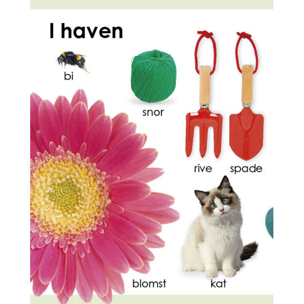 Kigge-pege-snakke: Ord