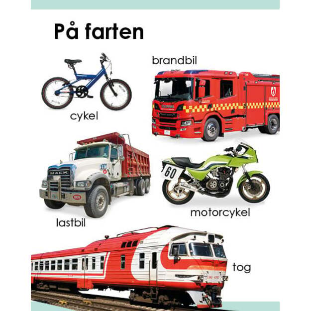 Kigge-pege-snakke: Ord