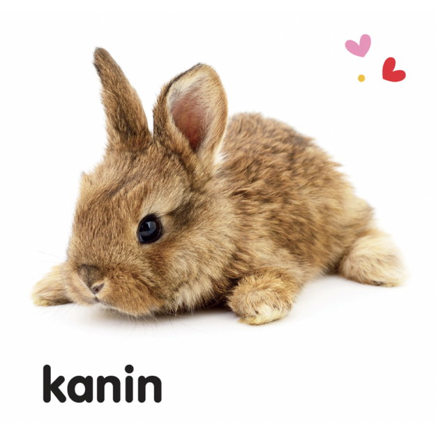 Ryste-ryste: Dyreunger