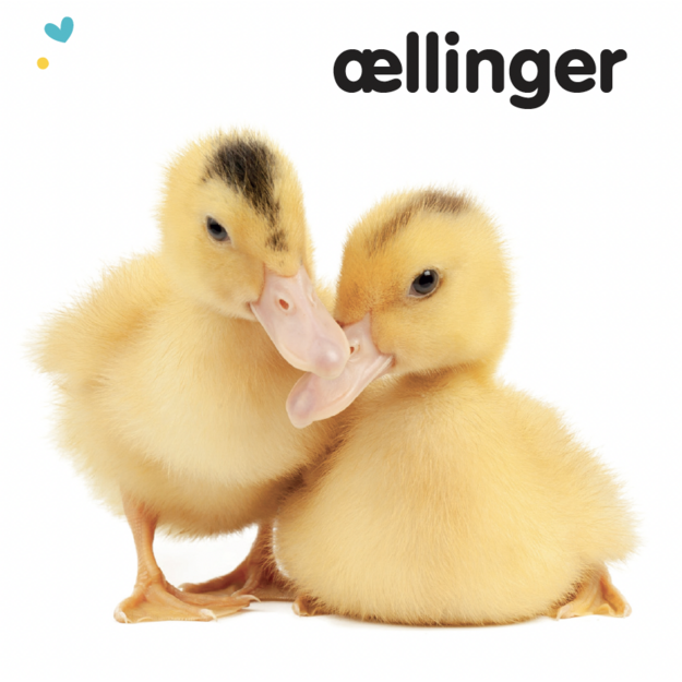 Ryste-ryste: Dyreunger