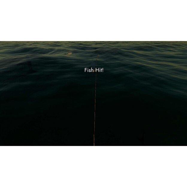 Fishing: North Atlantic (Complete Edition)

  - PlayStation 4