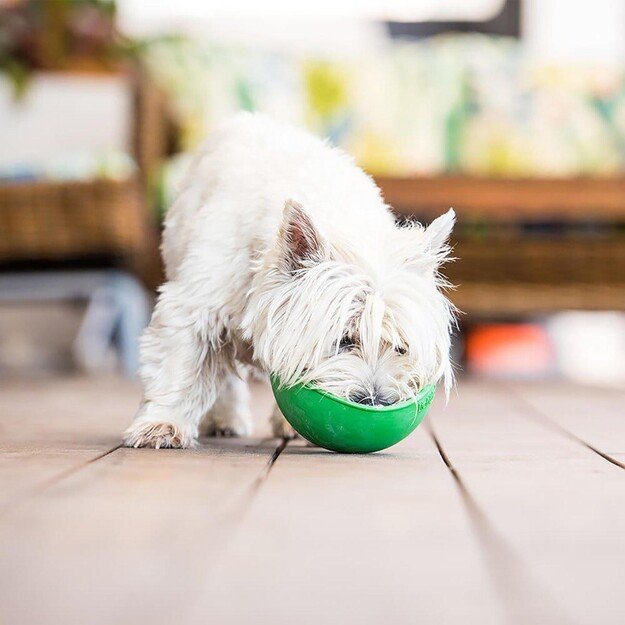 LICKIMAT - Dog Bowl Wobble Green 17X17X8Cm - (645.5320)