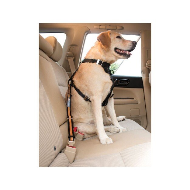 Kurgo - Direct to Seatbelt Tether, Blue - (81314601965)