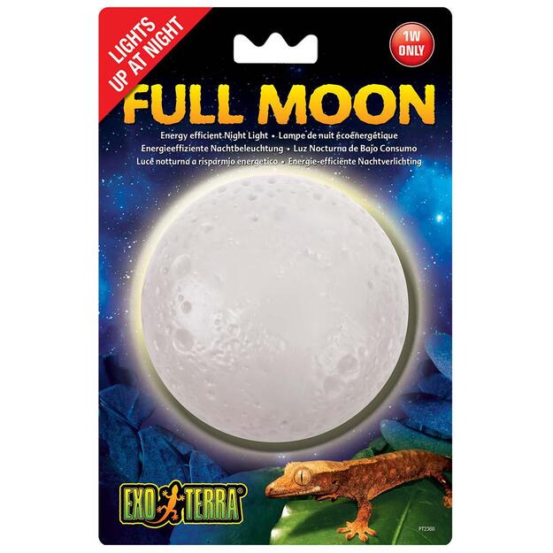 EXOTERRA - Full Moon  Moonlight - (205.2910)