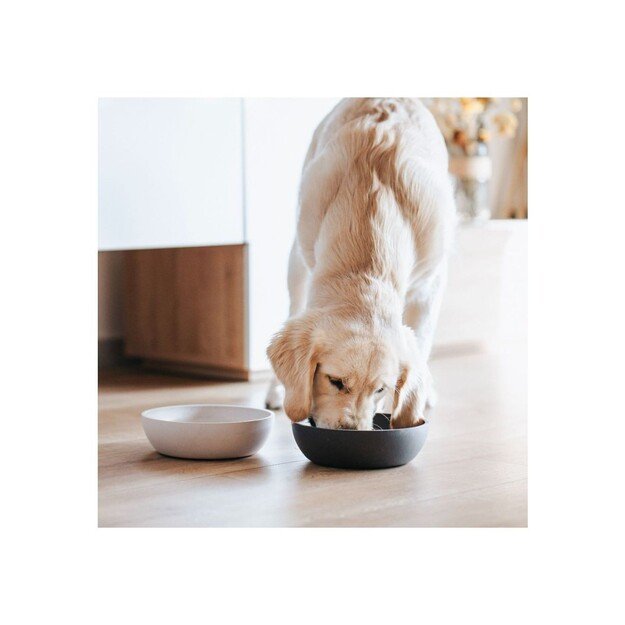 District70 -  BAMBOO Dog Bowl Large Dark Grey - (871720261397)