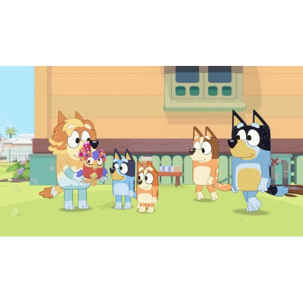 Bluey : The Videogame 4