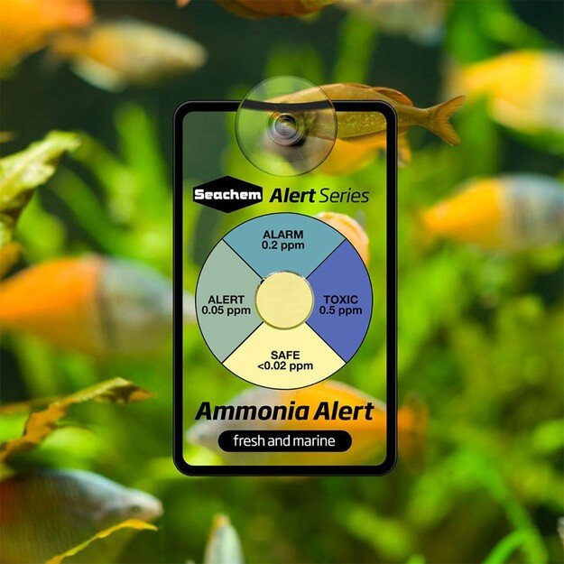 SEACHEM - Ammonia Alert 1 Year - (159.0005)