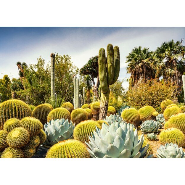Ravensburger - Puzzle Huntington Desert Garden 1000p (12000850)