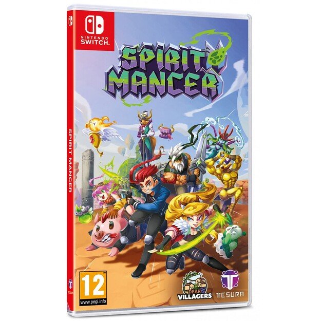 Spirit Mancer Collector's Edition

  - Nintendo Switch