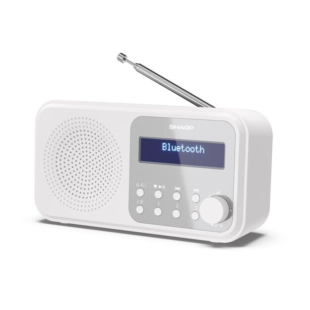 Sharp - Tokyo Portable Digital and FM Radio