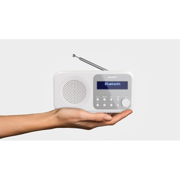 Sharp - Tokyo Portable Digital and FM Radio