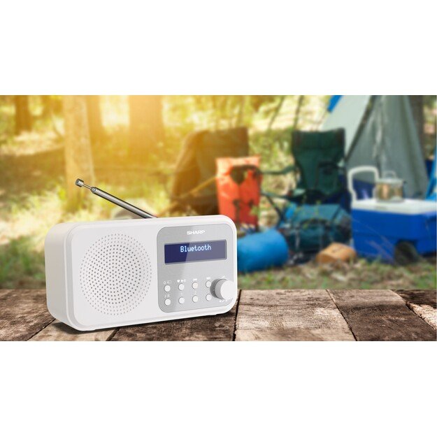 Sharp - Tokyo Portable Digital and FM Radio