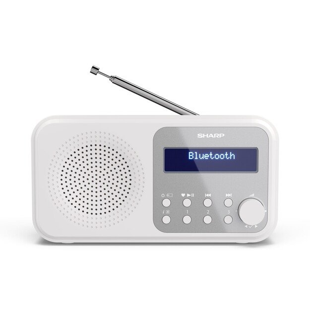 Sharp - Tokyo Portable Digital and FM Radio