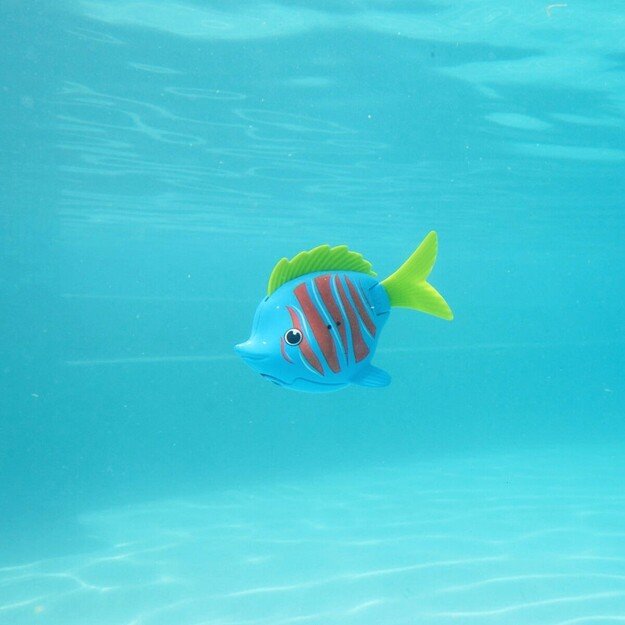 Swims - Rainbow Reef Beta Fish - (6072503)