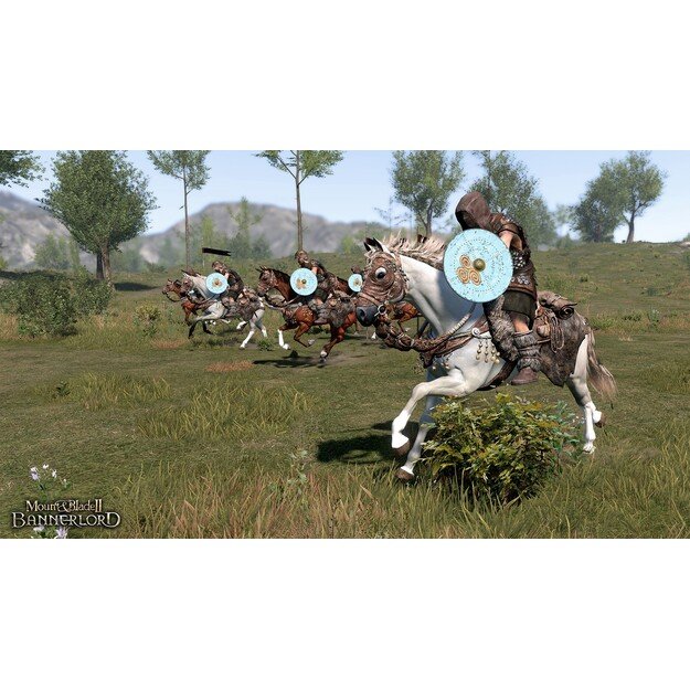 Mount & Blade II: BANNERLORD

  - PlayStation 4