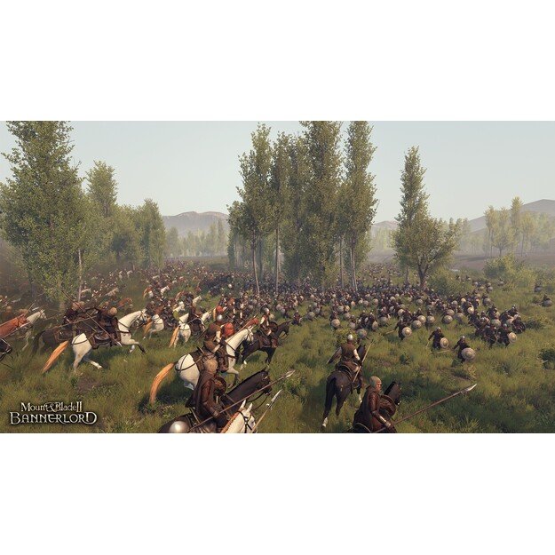 Mount & Blade II: BANNERLORD

  - PlayStation 4
