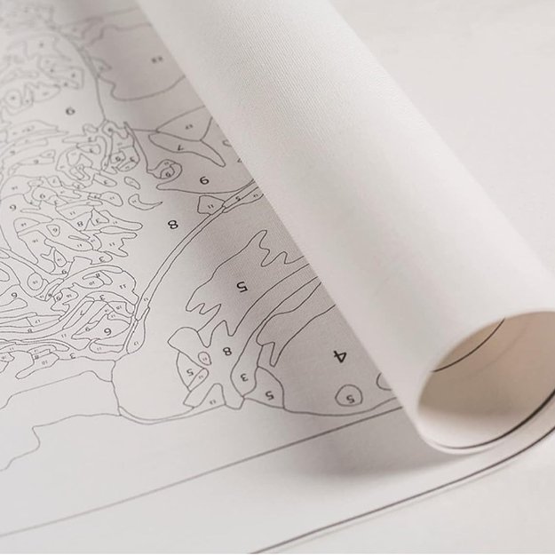 Tapyba skaičiais paveikslas su rėmeliu, teptukų rinkinys, dažai 30x30 vaikams