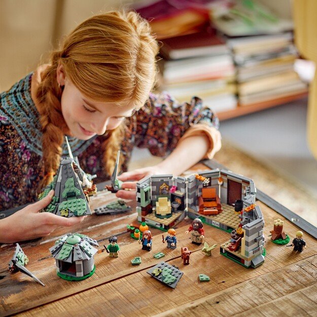 LEGO Harry Potter - Hagrid's Hut: An Unexpected Visit (76428)