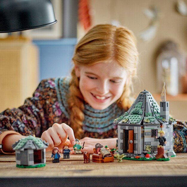 LEGO Harry Potter - Hagrid's Hut: An Unexpected Visit (76428)