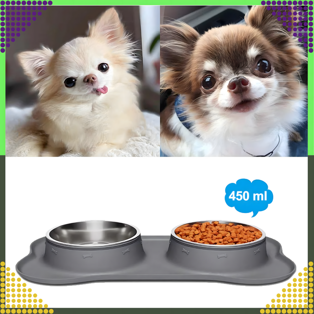 Dvigubas dubenėlis šunims ir katėms, metalinis, neslystantis, 2 dubenėliai + kilimėlis