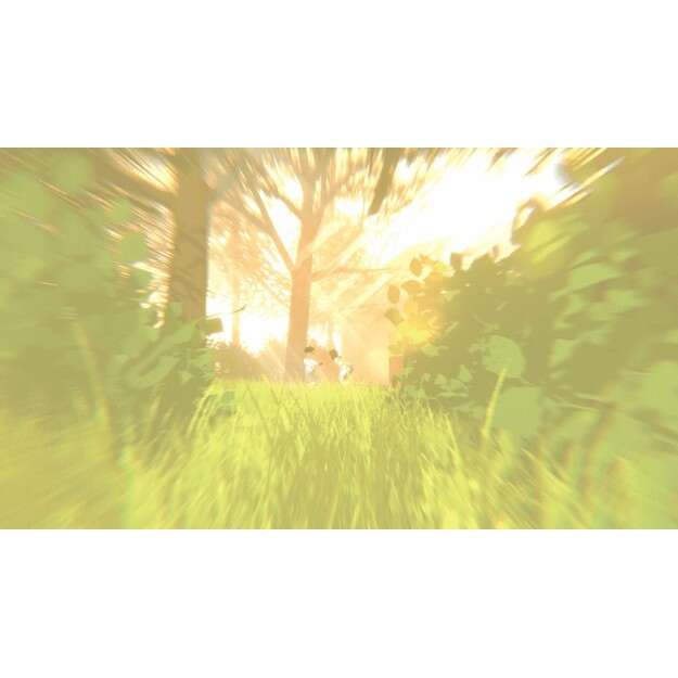 The Wreck - Nintendo Switch