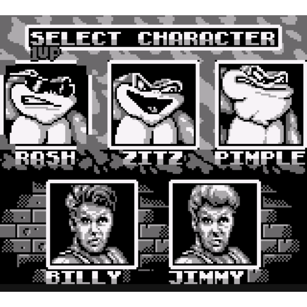 Battletoads & Double Dragon - Collector’s Edition