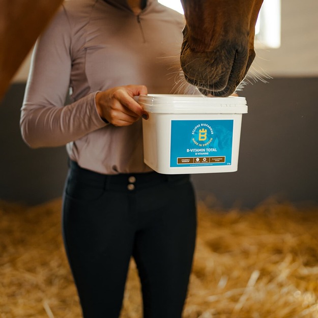 Biofarmab - B-Vitamin Total