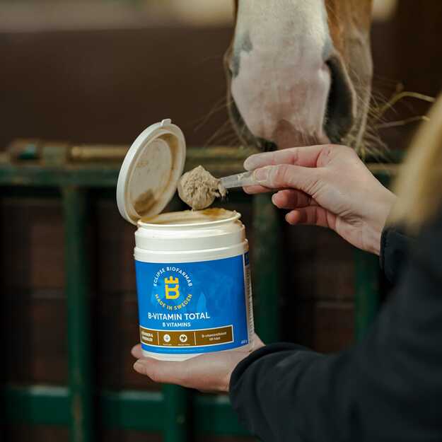 Biofarmab - B-Vitamin Total
