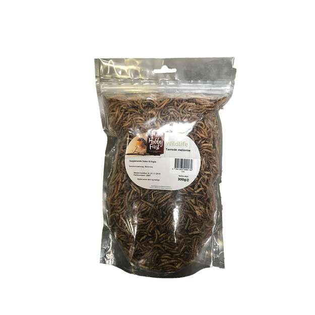 Hobby First - Mealworms - 300 g