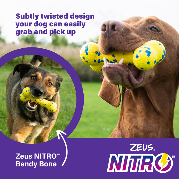 Zeus Nitro - Bendy Bone - Yellow and Blue - 16cm