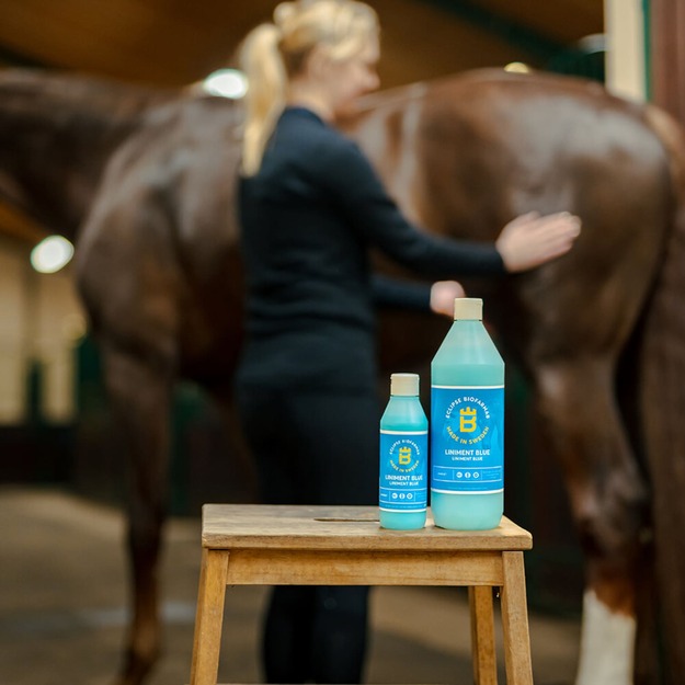 Biofarmab - Liniment Blue - 250ml