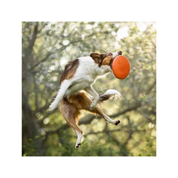 Non-stop  -  frisbee 21 cm  - orange