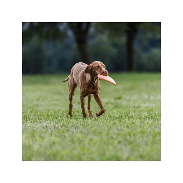 Non-stop  -  frisbee 21 cm  - orange