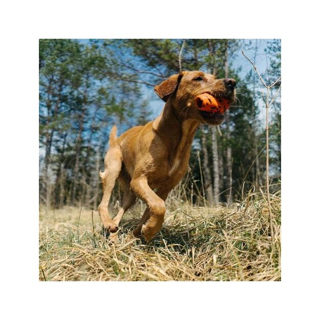 Non-Stop - Throwing Toy - Orange/black - one size