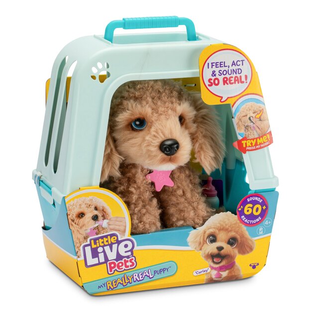 Little Live Pets - My Really Real Puppy - Curley (26612)