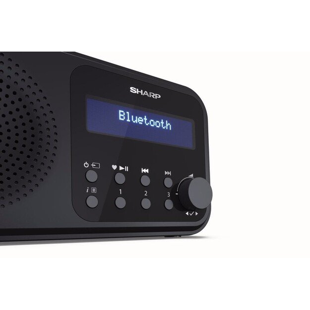 Sharp - Tokyo Portable Digital and FM Radio - Black Midnight