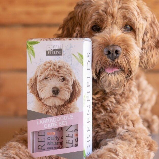 Greenfields - Labradoodle Care Set 2x250ml - (WA4674)