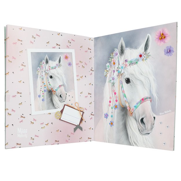 Miss Melody - Create Your Diamond Picture Stickerbook - (0413484) 1