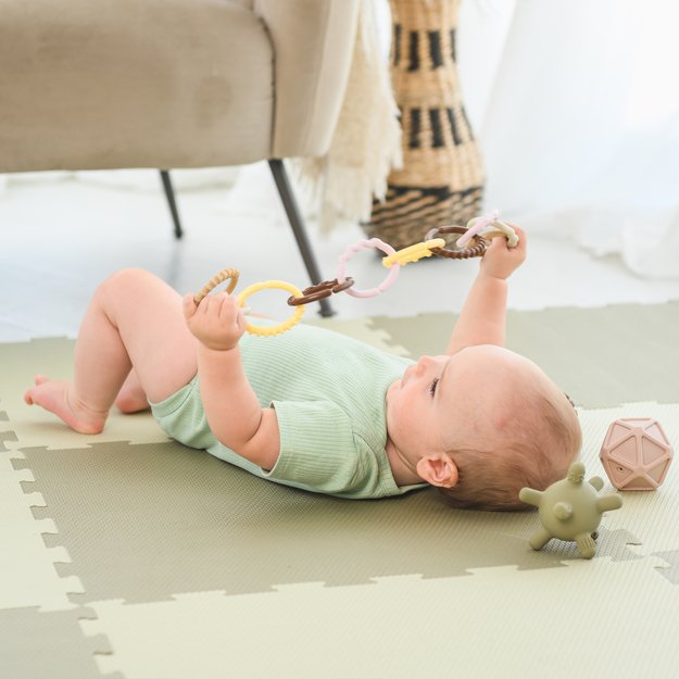 Edushape - Teethers - 12 pcs (E929001bc) 3