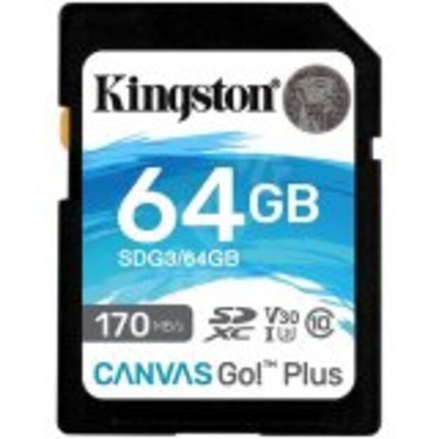 Memory Flash cards KINGSTON SDG3/64GB