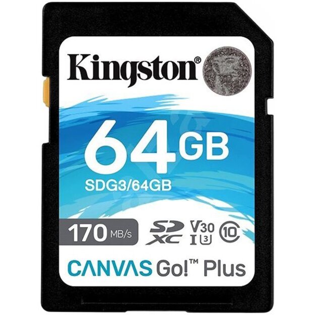 Memory Flash cards KINGSTON SDG3/64GB